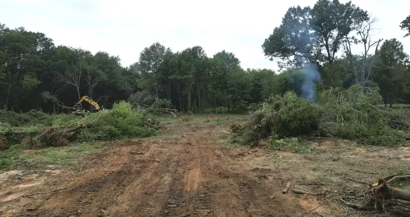 Clearing a wooded lot