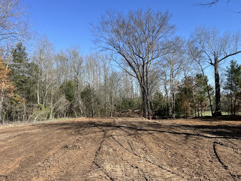 Cleared to the tree line