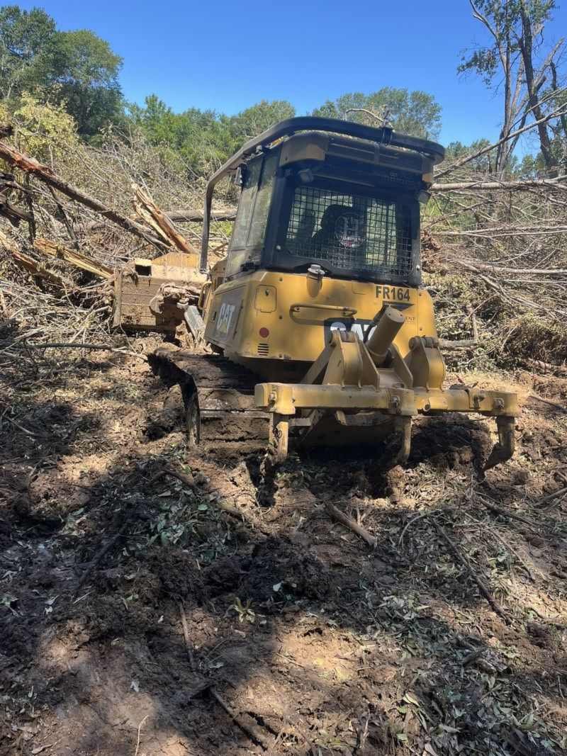 Pushing up downed trees