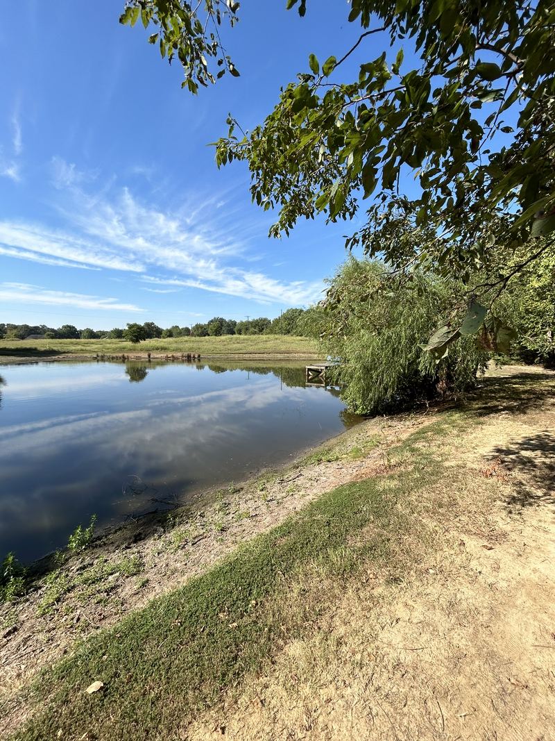 Pond with new dirt bank