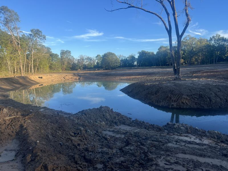 New pond, fresh banks