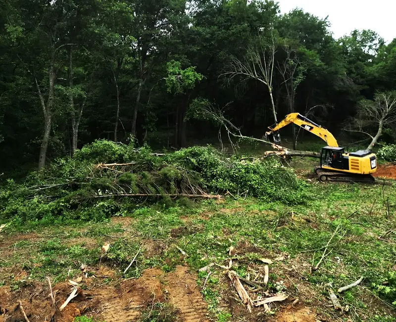 Clearing brush with the excavator